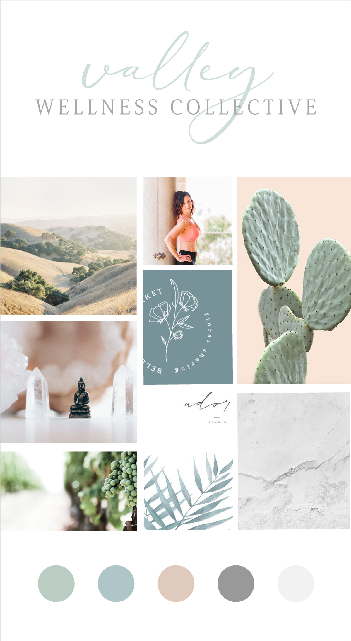 valley wellness collective branding